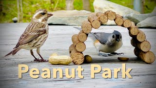 Peanut Park