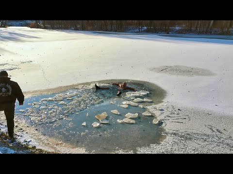 Videó: Így Sikerül A Téli Tárolás A Vízben
