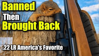 Military Use? Banned? Why the Ruger 10/22 Is Still KING in 2025 Profile