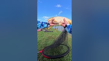 Hồ bán tự nhiên? - Hiệp Hoà - Bắc Giang 