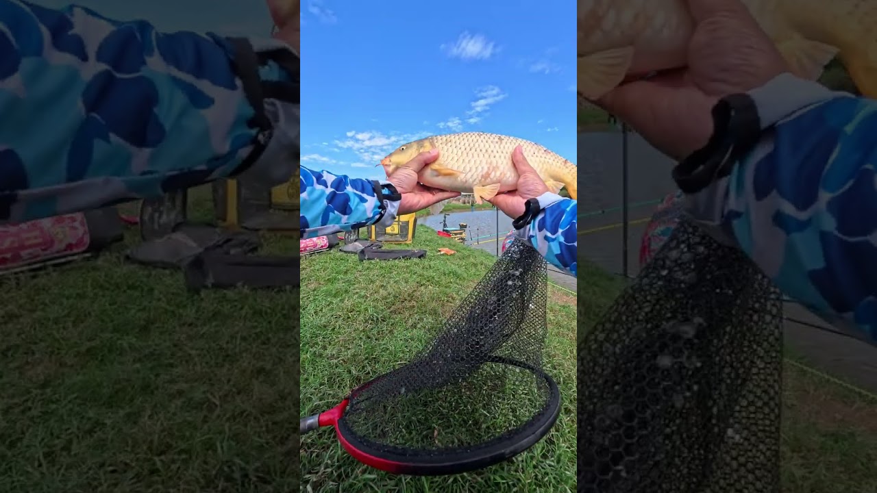 Hồ bán tự nhiên? - Hiệp Hoà - Bắc Giang 