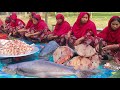 Giant Sea Fish Curry Recipe - Snakehead Fish Curry Cooking For 500 People - Shagorer Shol Mach