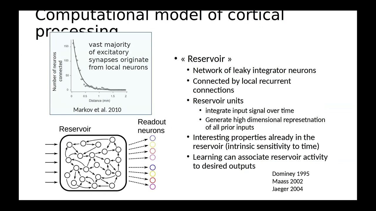 Peter Ford Dominey - A temporal hierarchy in narrative processing in the human cortex
