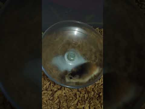 2024年9月6日 2024年9月6日