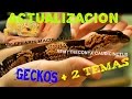 Actualizacion de Geckos comentando dos temas importantes!