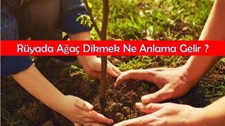 Rüyada Ağaç Dikmek Ne Anlama Gelir ?