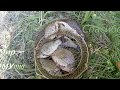 КЕВтв FICHING/ Рыбалка Удовольствие!!!