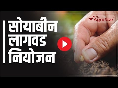 सोयाबीन लागवड व वाणाची माहिती - सोयाबीन लागवड व वाणाची माहिती
