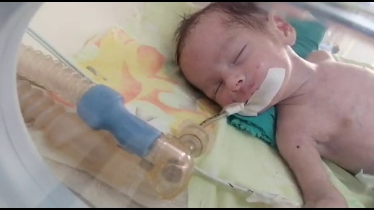 الحضانات وكيفية التعامل فيها