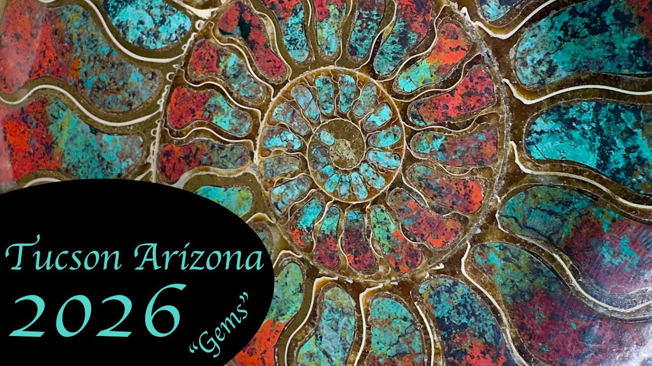 Tucson Arizona “gems” 2026🔥🔥🔥