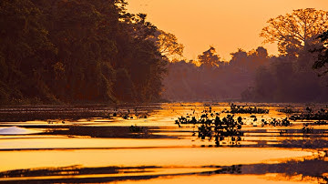 three pieces from Venezuela
