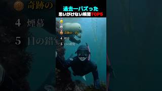 過去一バズった ! ? 思いがけない瞬間 TOP5