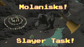 OSRS - Molanisks Slayer Guide!