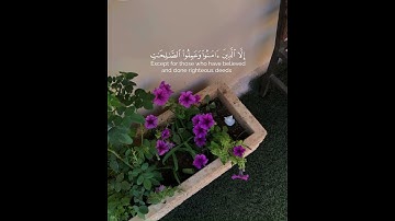 سورة العصر بصوت جميل جدًا 💗#اسلام_صبحي #اللهم_صل_وسلم_على_نبينا_محمد #القرآن_الكريم #سبحان_الله