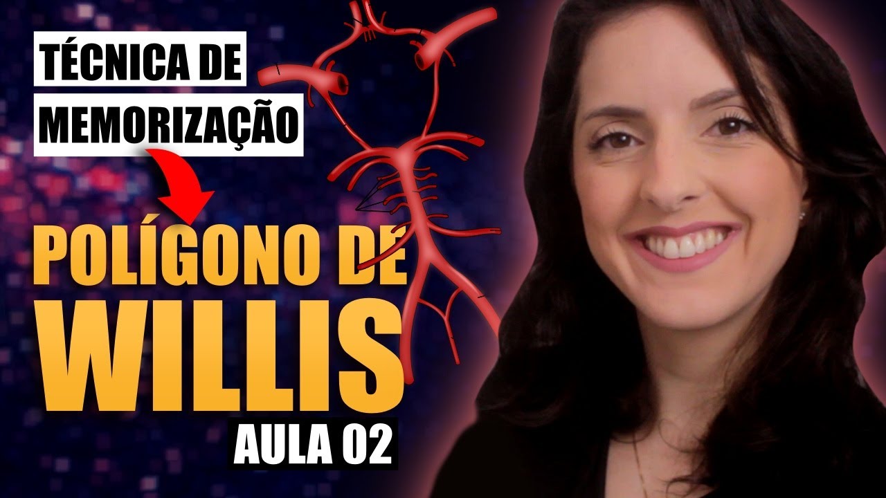 Anatomia Polígono de Willis: TÉCNICA DE MEMORIZAÇÃO  [Neuroanatomia] [aula 02/02]