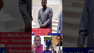 Li Macky nieuw tay motakh ma un proche de Diomaye démissionne 🤔 #shortvideo