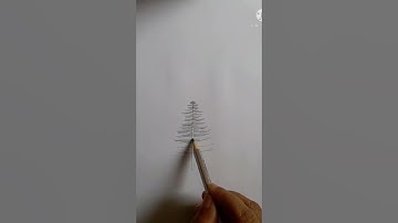 How to draw pine tree/tree drawing #pinetreedrawing #shorts #treedrawing #drawingshorts