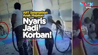 ART Lebanon Selamatkan Anak Majikan Saat Ledakan Dahsyat Beirut