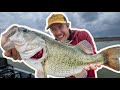 Big Bass on Texas Rigs! Fishing Shallow for Spring Bass