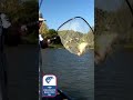 FALL TIME TOPWATER #BassProShops #AFTCO #AnyFishAnyWater #LakeDardanelle #VisitRussellville