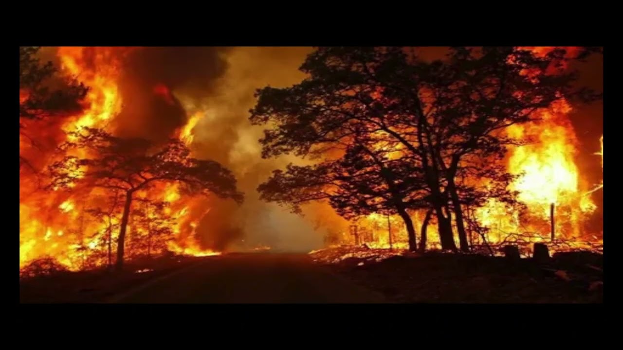 Feel of danger - keep the fire burning (2024)