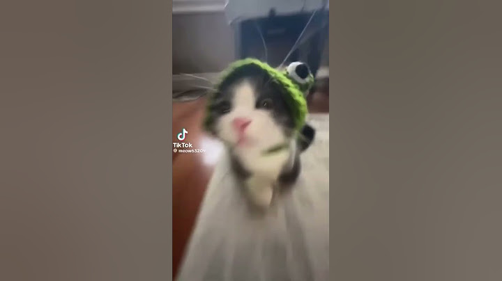 Deze kat vind dit niet leuk zo de zien. #shortvideo