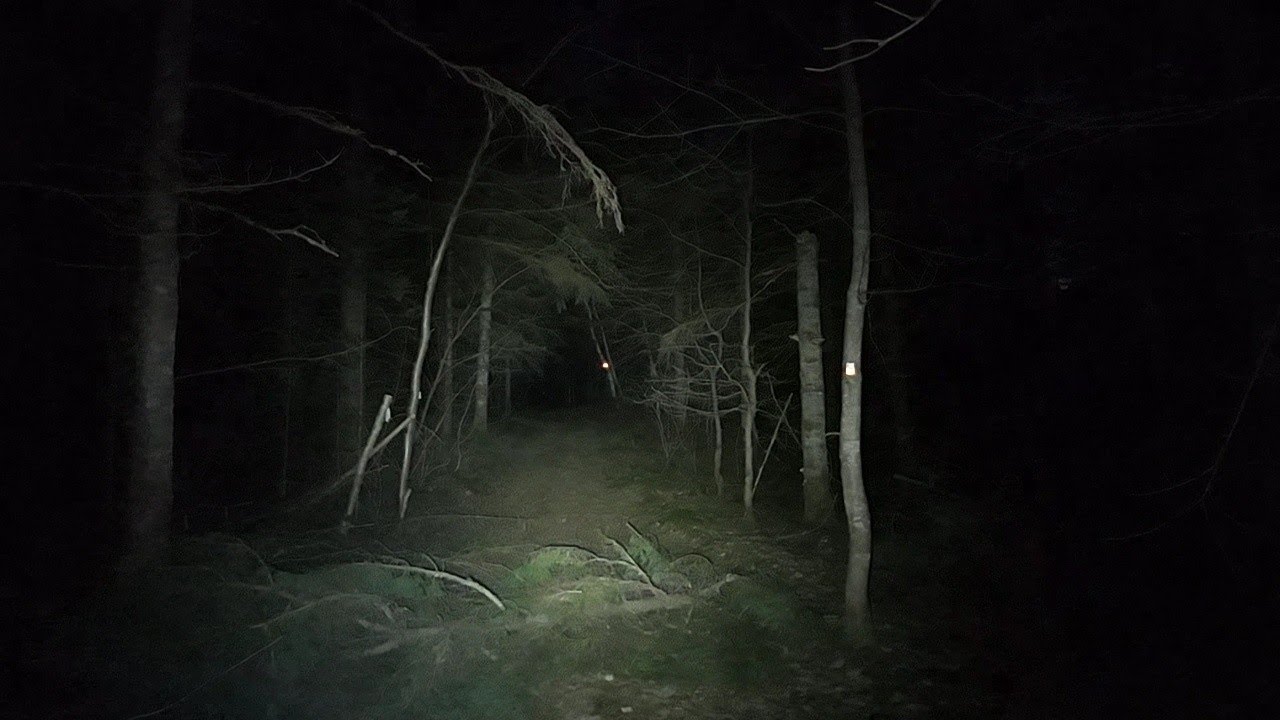 I NOPE IT OUT OF THERE.