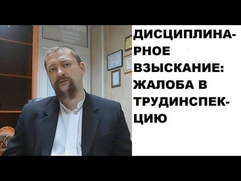 Как написать заявление (жалобу) в трудовую инспекцию об обжаловании дисциплинарного взыскания