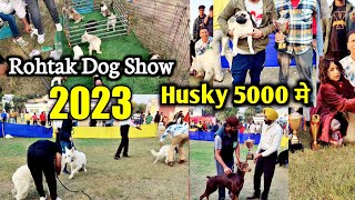 Rohtak Dog show 2023 | Cheapest outside dog market | Rs.5000 मे Husky