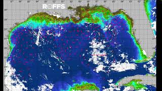 Gulf of Mexico (America) Ocean Conditions Update - 6/24/2025