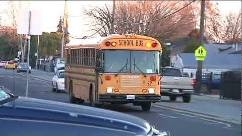 Big Fat Traffic Ticket