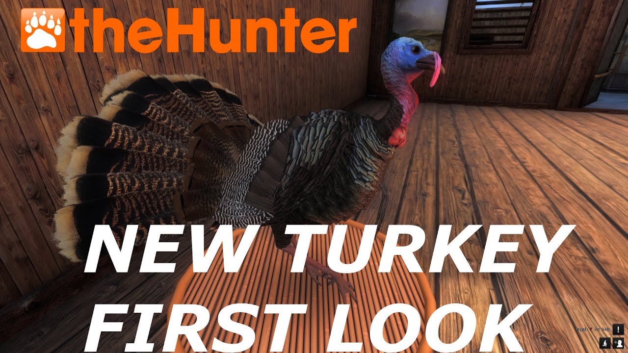 New Turkey Models First Look theHunter Classic 2020 1440p - YouTube