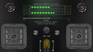 Mad Mad World Feat. Sizzla Kalonji & Collie Buddz - Shaggy B Boosted