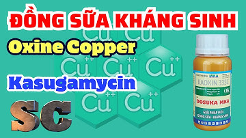 DOSUKA MKA | Giải pháp phối gốc Đồng và kháng sinh dạng SC | Oxine Copper + Kasugamycin | Nấm khuẩn