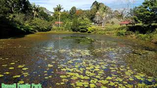 Amazing Parks in Brisbane, Queensland, Australia..صور مدهشة لحدائق في بريزبن..كوينزلاند..أستراليا