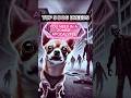 Top 5 Dogs for the Zombie Apocalypse