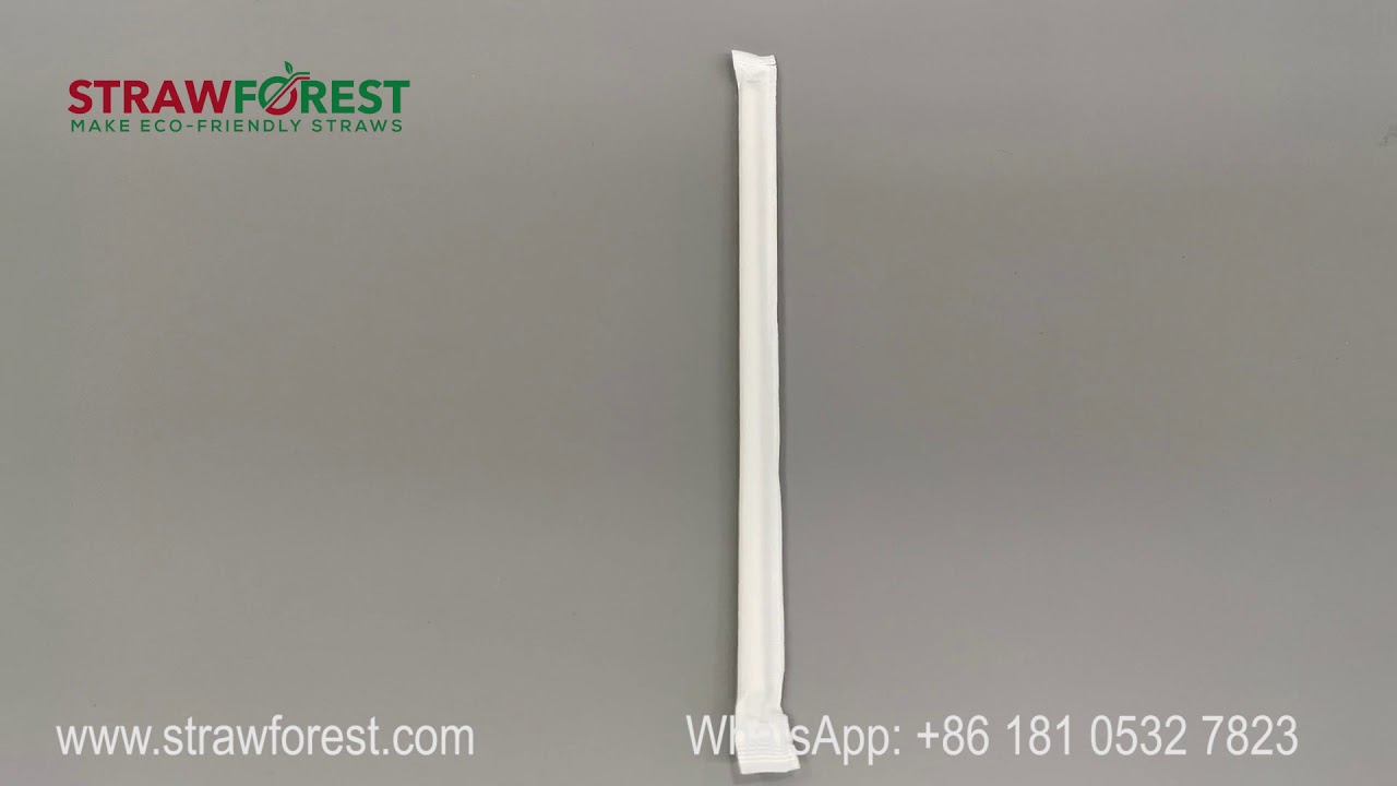 StrawForest Individually wrapped  paper straws
