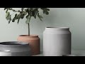 CÓMO DECORAR CON PLANTAS CADA ESTANCIA | ideas de plantas y maceteros que van con tu estilo