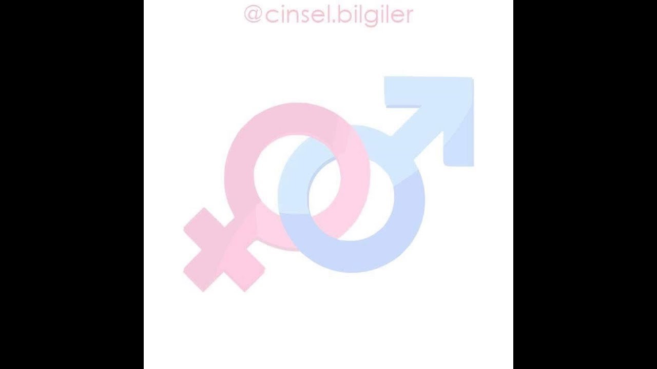 Cinsel bilginizi test edin Cinsel bilginizi test edin