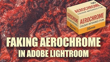 Faking Aerochrome in Lightroom (Digital Infrared Look)