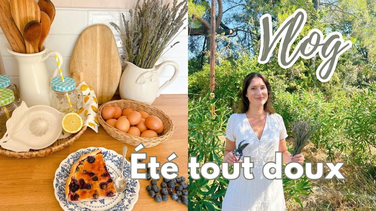  Vlog été cosy 🌻 Bouquet de Lavande /  Boutiques / Recette Gaspacho & Tarte aux myrtilles 🫐 