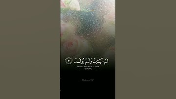 تلاوة خاشعة للشيخ /ماهر المعيقلي🤍سورة الاخلاص