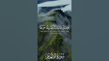 #اكسبلور #المصحف #تلاوات #حالات_واتس #راحة_نفسية #تلاوات_خاشعة #لايك #قرآن #quranic #qurantilawat
