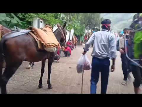 Vaishno Mata Katra Jammu Vlog Video 1. #jammu #katra #india #travel #trending