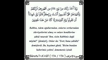 سورة الاعراف | وإذ اخذَ ربكَ من بني ءادم من ظُهورِهِم ذُرِيتهُم وأشهدهُم على انفُسهِم ألستُ بِربكُم