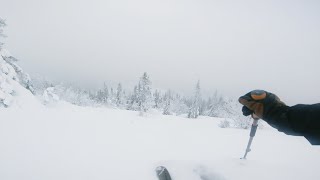 Powder skiing in Trysil
