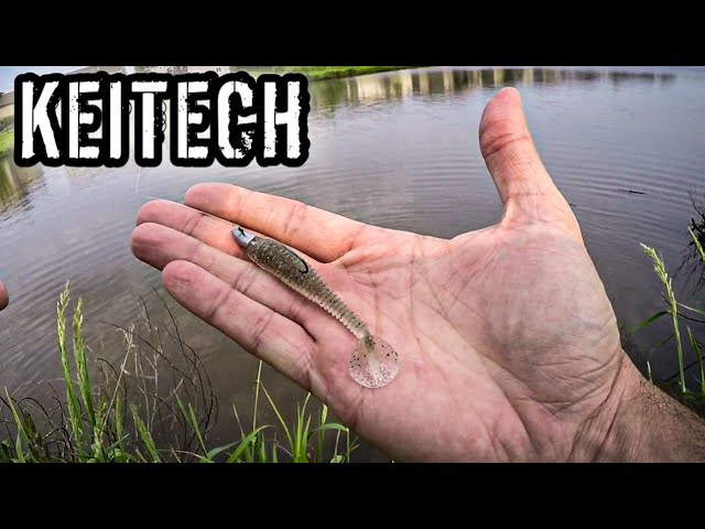A Reliable Finesse Swimbait for Tough Fishing Conditions (2.8 Keitech  Swing Impact) 