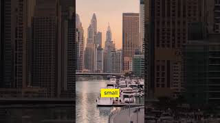 Is Dubai country or a City? 🤔💭