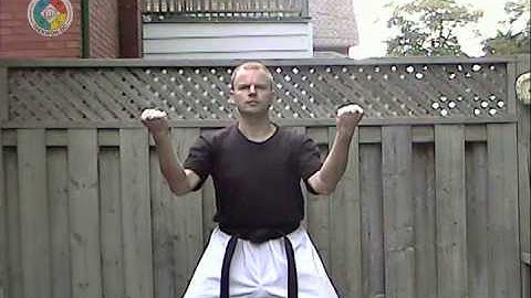 Taekwondo: Hapkido: Foundations: double middle block, front view