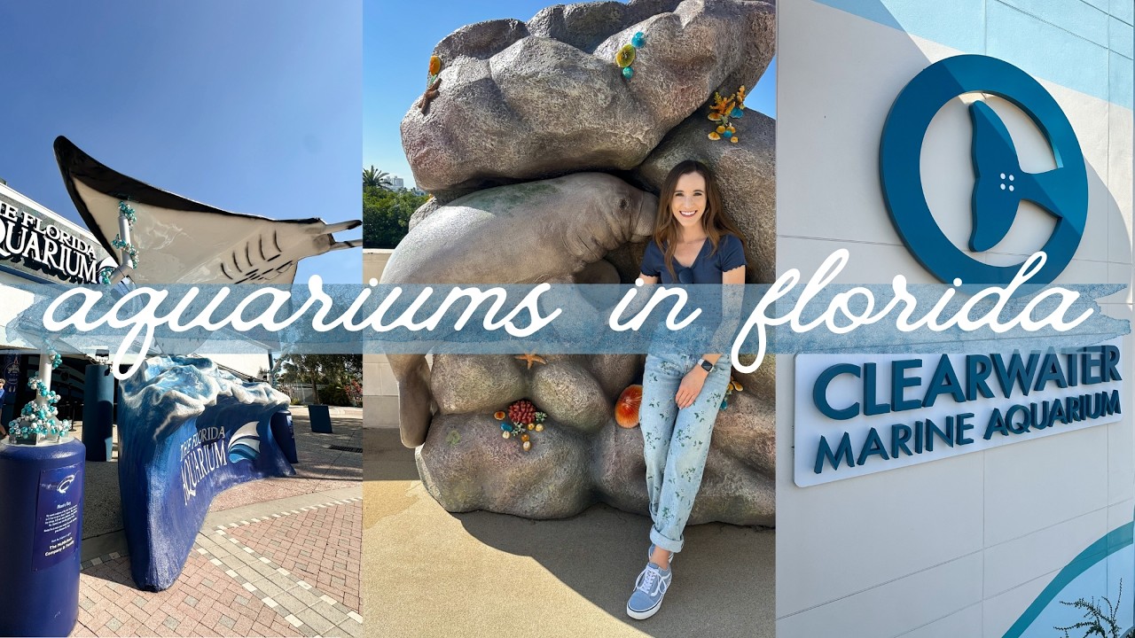 My first visit to The Florida Aquarium 🐊 + Manatees at Clearwater Marine Aquarium! 🐬